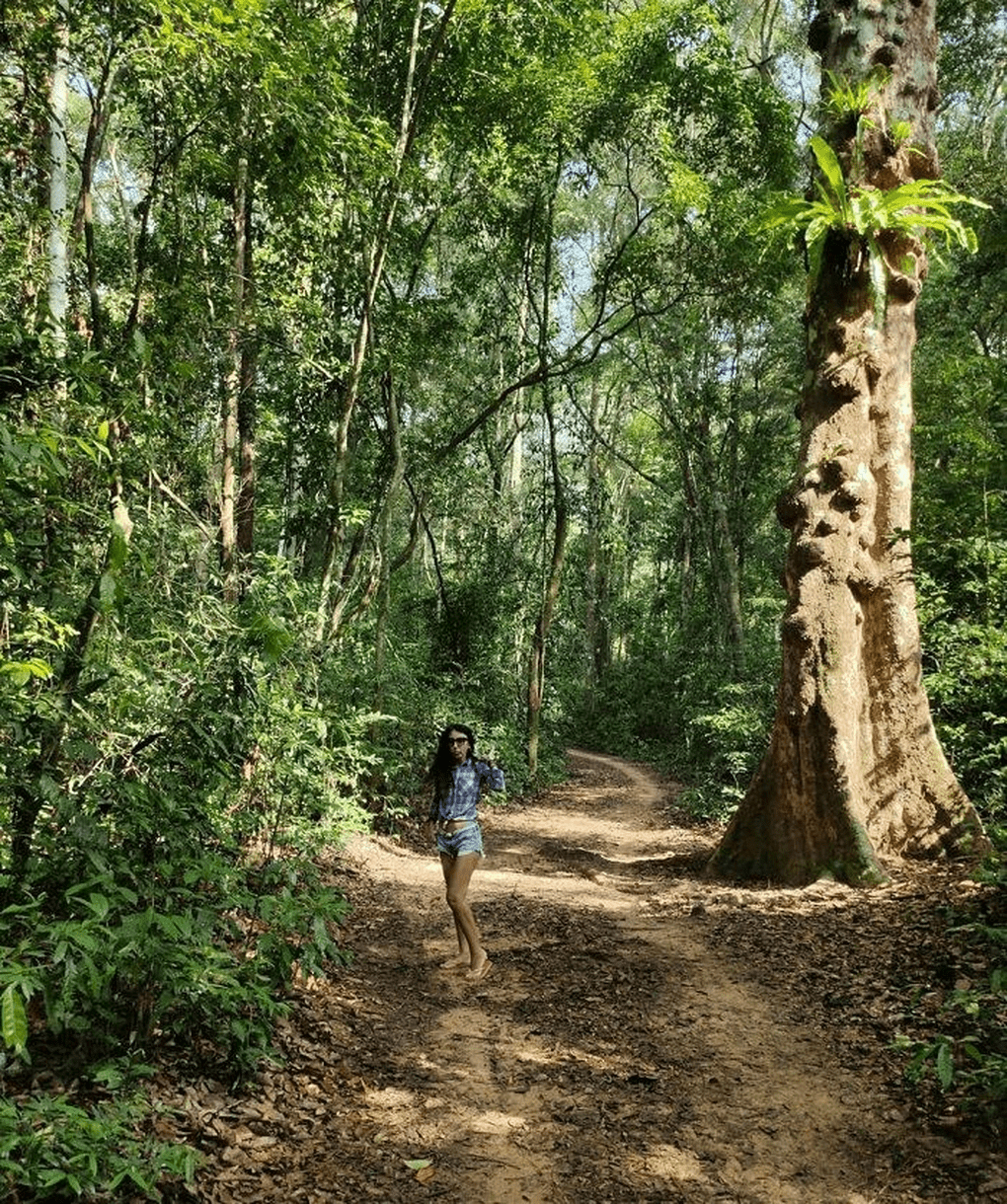 Phú Quốc trở thành lựa chọn hấp dẫn để du khách trekking (Ảnh: @instaudreyttt).