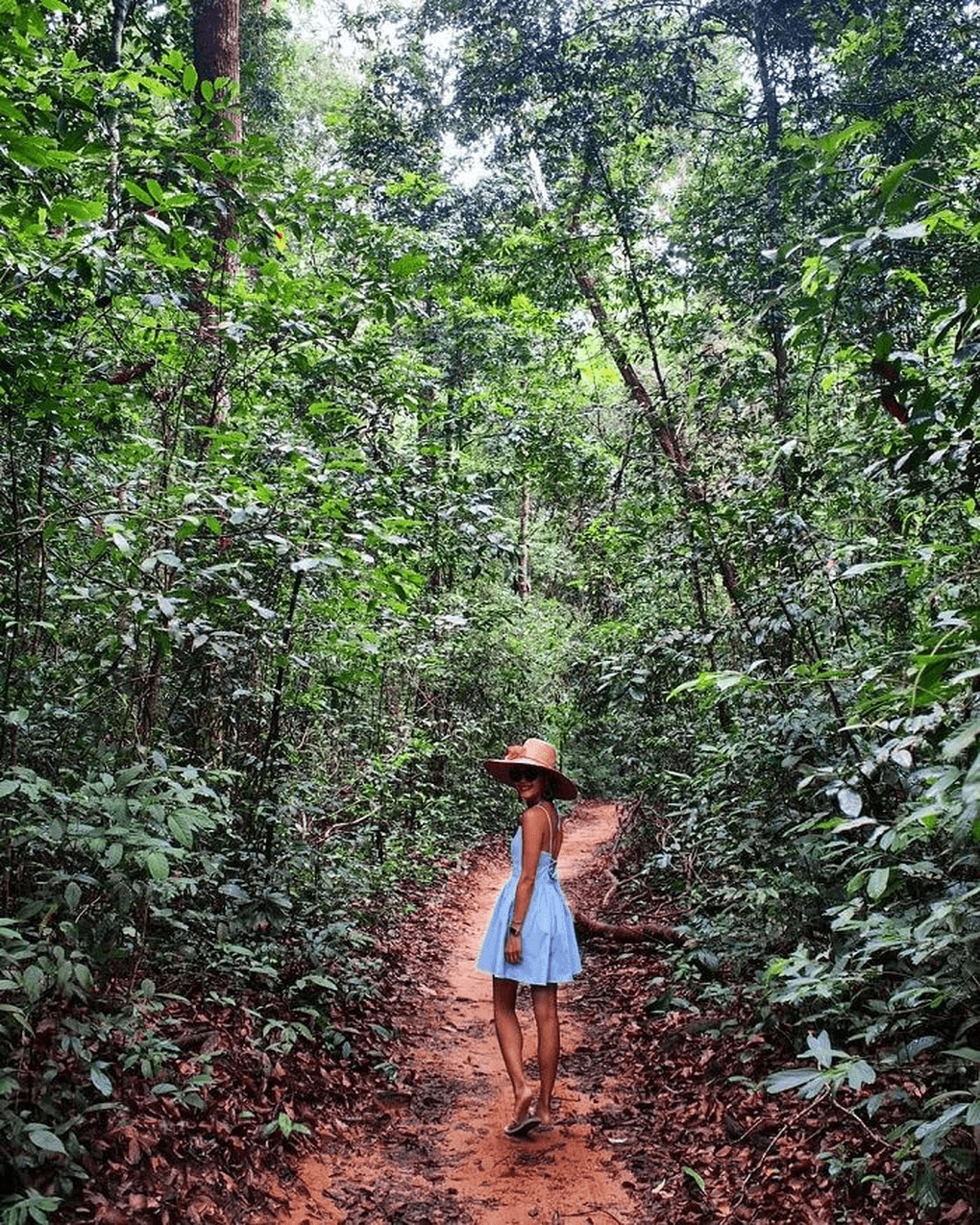 Rừng nguyên sinh Phú Quốc còn mê hoặc du khách nhờ hệ động, thực vật phong phú (Ảnh: @boginya_inna).