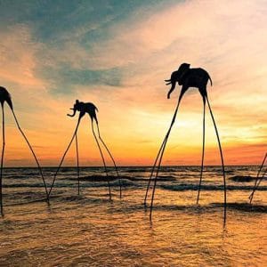 Phu Quoc Co Gi Ma Thu Hut Nhieu Khach Du Lich