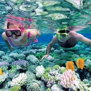 Phu Quoc Nang Tien Ca Long Lay Giua Dai Duong