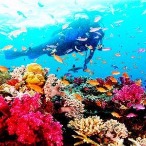 Phu Quoc Nang Tien Ca Long Lay Giua Dai Duong