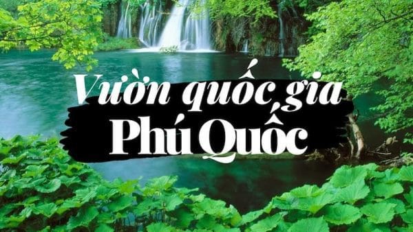 7 Ly Do Tai Sao Nen Chon Nghi Duong Tai Phu Quoc 5