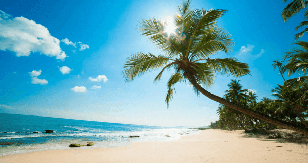 Du Lich Phu Quoc Mua Nao Dep Nhat Goi Y Thoi Gian Ly Tuong De Di