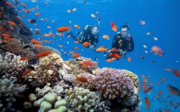 Kinh Nghiem Du Lich Tu Tuc Phu Quoc Tu Tuc Tu A Z Hanh Trinh Kham Pha Dao Ngoc 8